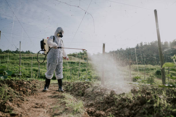 Best Best Pest Control Companies  in Lam, AR
