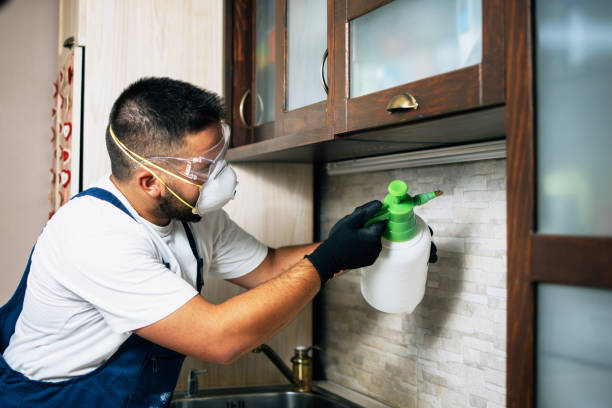 Best Local Pest Control Services  in Lam, AR