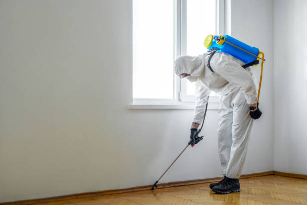 Best Commercial Pest Control Services  in Lam, AR
