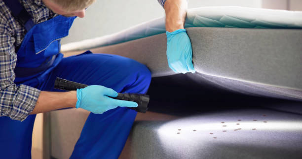 Best Exterminator Services  in Lam, AR