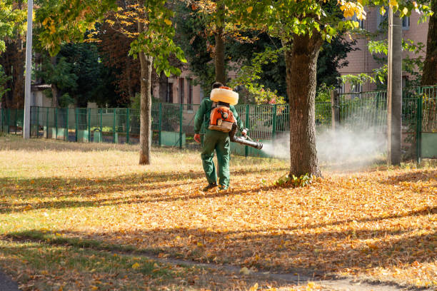 Best Mosquito Control Services  in Lam, AR